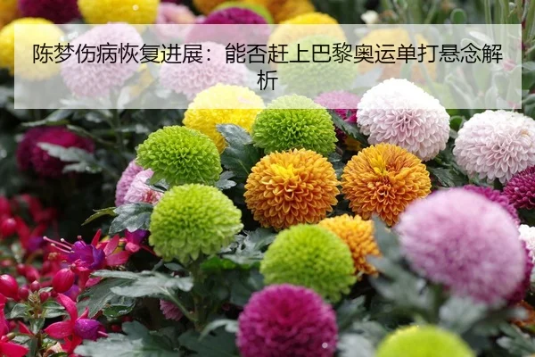 chen-meng-shang-bing-hui-fu-jin-zhan-neng-fou-gan-shang-ba-li-ao-yun-dan-da-xuan-nian-jie-xi-2-222.jpg