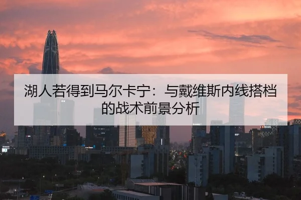 湖人若得到马尔卡宁：与戴维斯内线搭档的战术前景分析